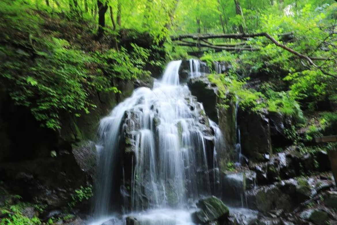 Green Stone Valley